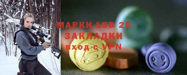 гидра Корсаков