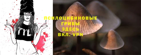 соль курить ск Козловка