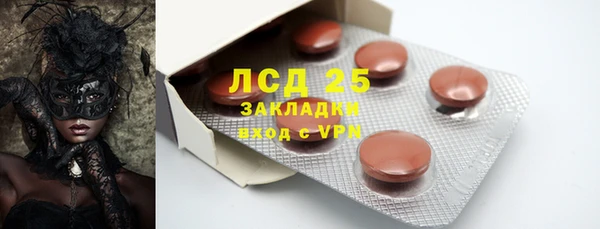 стафф Коряжма