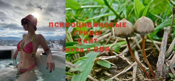 соль курить ск Козловка