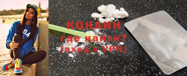 стафф Коряжма