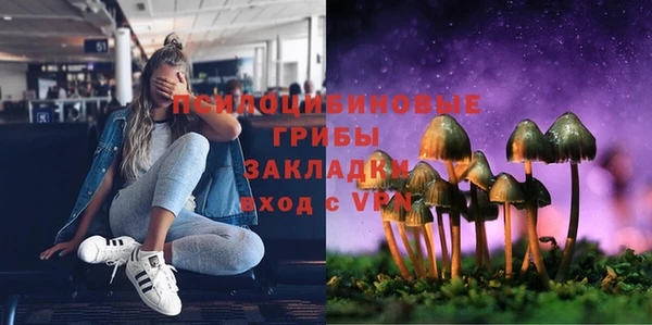 мяу мяу кристалл Костерёво