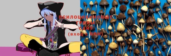 спайс Киреевск