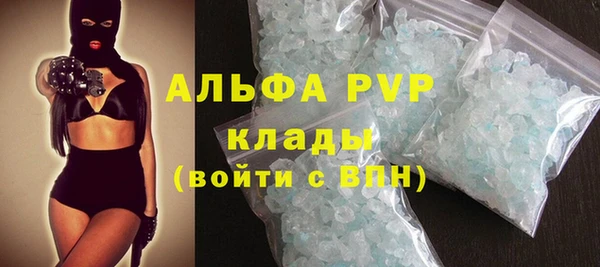 гидра Корсаков