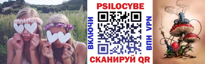 ОМГ ОМГ онион  Кондрово  Галлюциногенные грибы прущие грибы 